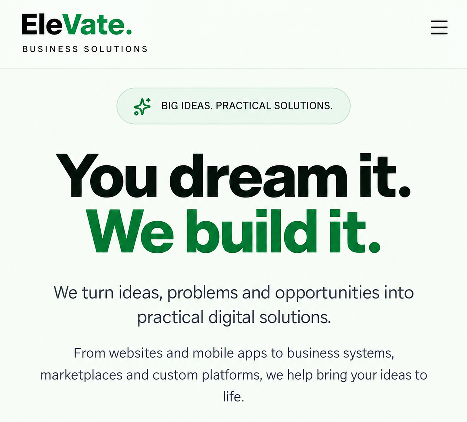 Example of our Professional website work